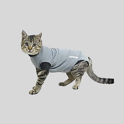 Category Cat Coats image