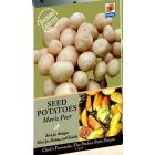 De Ree Maris Peer Seed Potatoes - Second Earlies - 10pcs