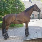 Waldhausen Horse loading aid