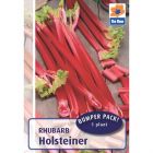 De Ree Rhubarb Crown Holsteiner - 1 Bulb