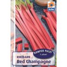 De Ree Rhubarb Crown Red Champagne - 1 Bulb