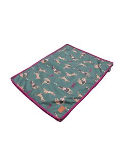 Benji & Flo Harrison the Hare Dog Bed