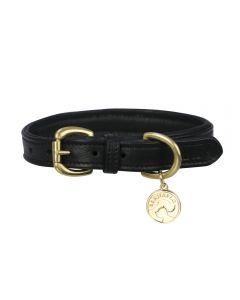 Benji & Flo Deluxe Padded Leather Dog Collar