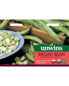 Broad Bean Aquadulce Claudia Seeds