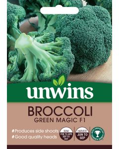 Broccoli (Calabrese) Green Magic F1 Seeds