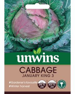 Cabbage (Round) January King 3 Seeds