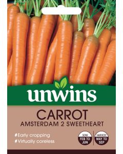 Carrot Amsterdam 2 Sweetheart Seeds