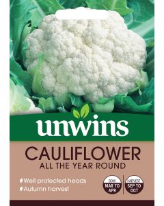 Cauliflower All The Year Round Seeds