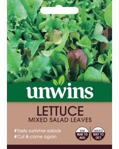 Lettuce (Leaves) Mixed Salad Leaves Seeds
