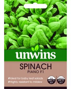 Spinach Piano F1 Seeds