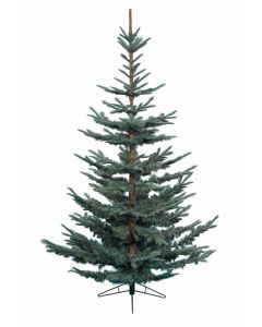 Kaemingk Natural Cut Fir Christmas Tree - 7ft - Blue