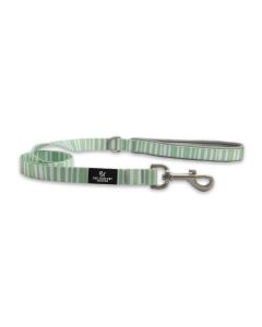 ANCOL SOHO PET LEAD STRIPE