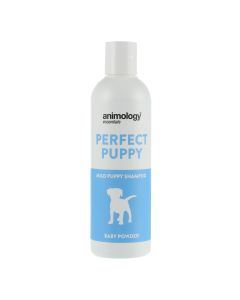 ANIMOLOGY ESSENTIALS BABY POWDER SHAMPOO FOR PUPPIES