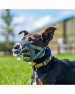 BASKERVILLE INVISA BASKET MUZZLE