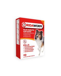 Chanelle Ridaworm Dog Tablets - 2 Tablets