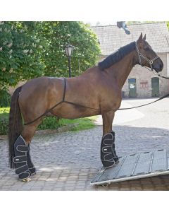 Waldhausen Horse loading aid