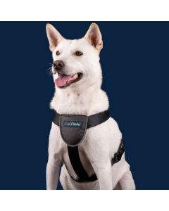 Carsafe Dog Travel Harness Small