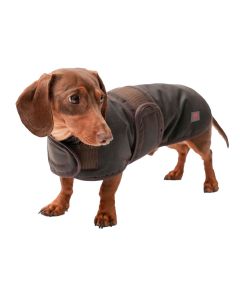 FIREFOOT WAXED DACHSHUND COAT