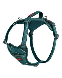 HALTI ANATOMY HARNESS TEAL