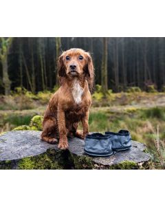 HENRY WAG SNAFFLE PACK BOWL SET