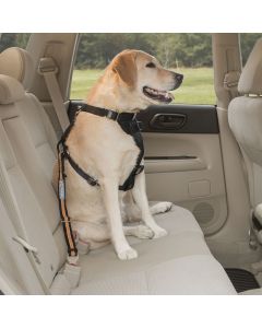 Kurgo Direct To Seatbelt Dog Car Tether - Small - Black / Orange