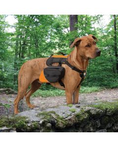 Kurgo Baxter Backpack - Black / Orange - 14kg - 38kg