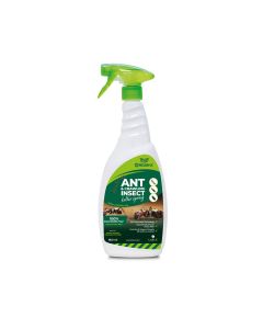 LODI ORGAN-X ANT & CRAWLING INSECT KILLER SPRAY