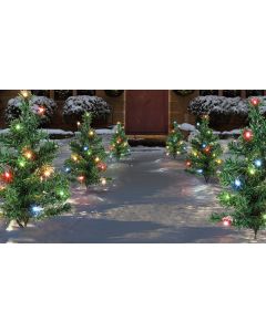 Premier 6 Mini Christmas Tree PathLights - Multi-Coloured - 15 LED per Tree