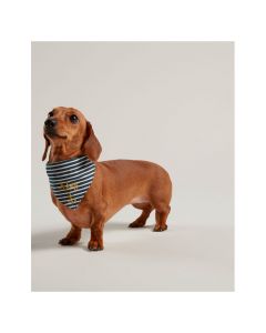 Joules Nautical Collar & Neckerchief