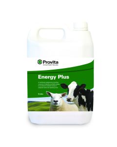 PROVITA ENERGY PLUS