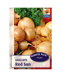 De Ree Red Sun Shallot Sets - pack of 10
