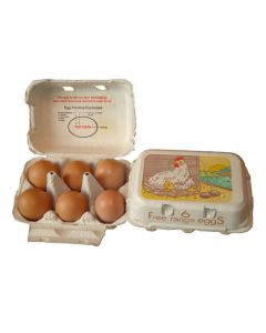Eton Egg Box Free Range - White - Pack of 260