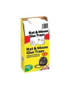 The Big Cheese Rat & Mouse Glue Trap - Pack of 36