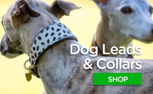 Dog leads and collars