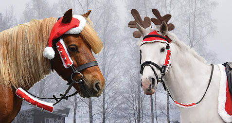 Equine Christmas